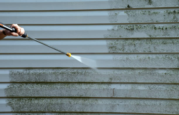 Best House Pressure Washing  in Camp Barrett, VA